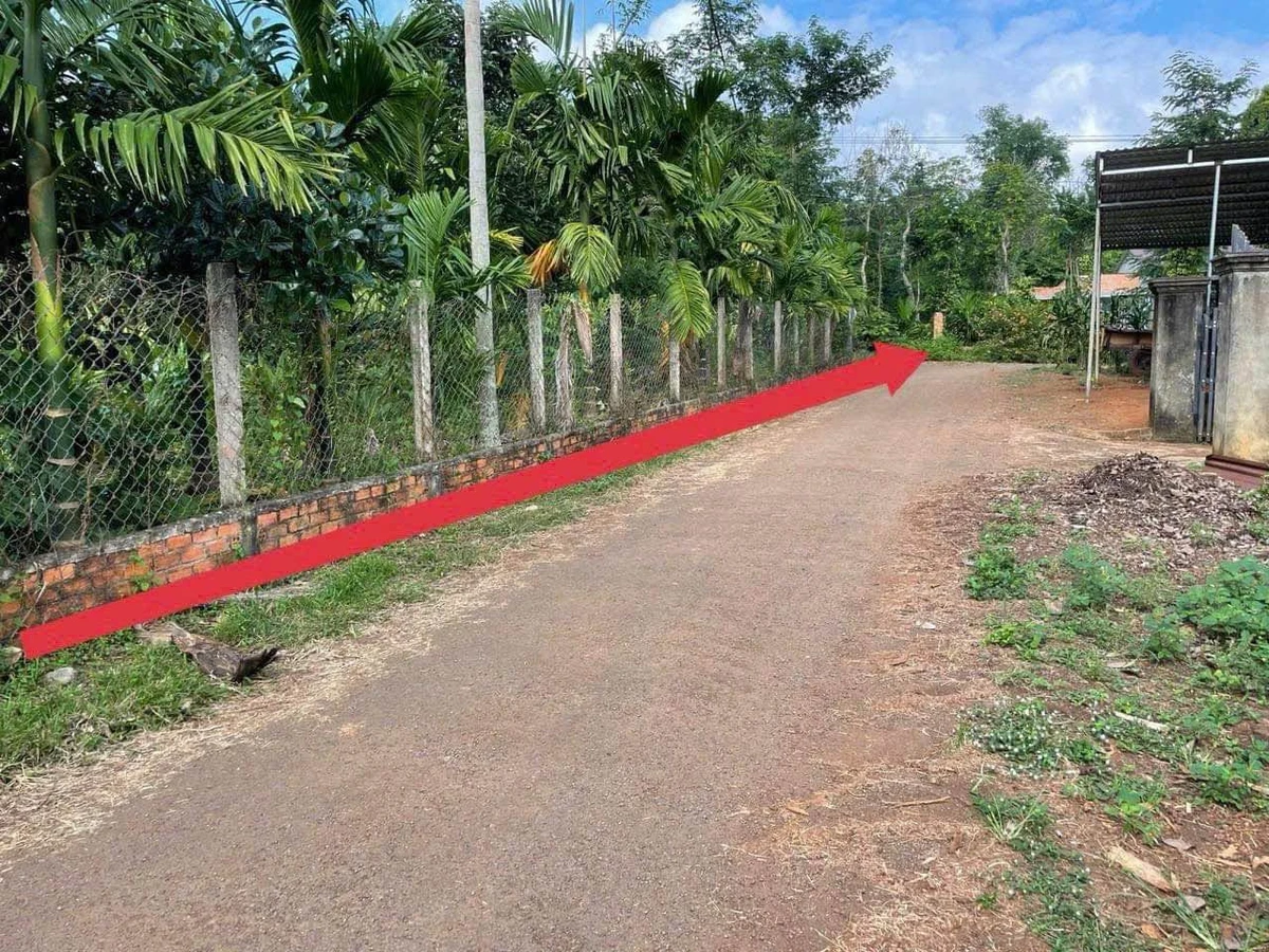 Bán đất mặt tiền Ea Ning, Cư Kuin, 60m² chỉ 175 triệu - Ảnh 1