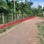 Bán đất mặt tiền Ea Ning, Cư Kuin, 60m² chỉ 175 triệu - Ảnh thu nhỏ 1