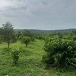 Bán đất 100m² mặt tiền Lộc Điền 1,2 tỷ - Ảnh thu nhỏ 3