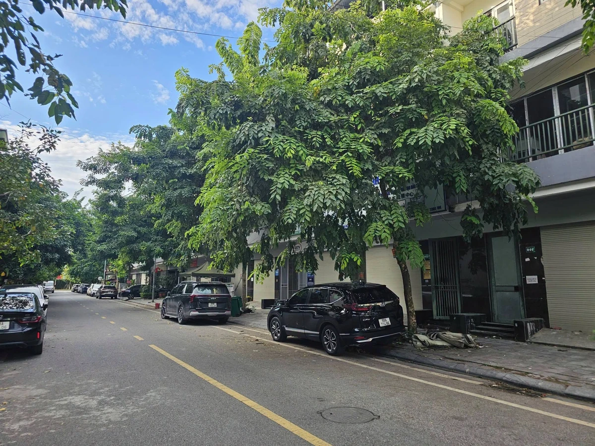 Bán nhà phố thô LK HUD 110m² mặt Nguyễn Khuyến, Bắc Ninh - Ảnh thu nhỏ 4