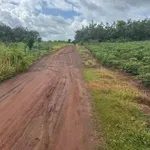 Bán đất 2 hecta An Phú Hóc Môn 2 tỷ - Ảnh thu nhỏ 1