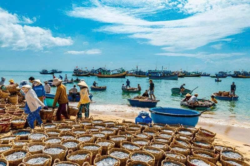 Bán đất 100.000m2 hai mặt tiền đường nhựa và biển tại Tuy Phong, Bình Thuận - Ảnh 1