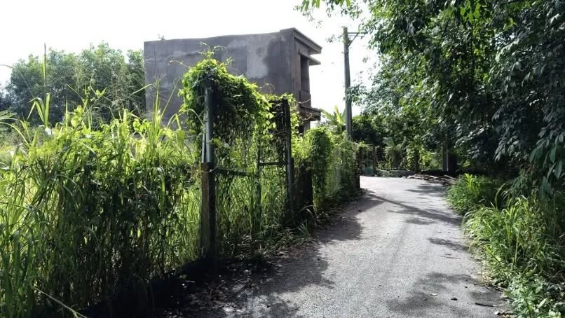 Sang nhượng lô đất ở đô thị 116m2 đường nhựa Tân Triều, cách HL15 50m, giá 1,149 tỷ - Ảnh thu nhỏ 2