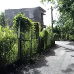 Sang nhượng lô đất ở đô thị 116m2 đường nhựa Tân Triều, cách HL15 50m, giá 1,149 tỷ - Ảnh thu nhỏ 2