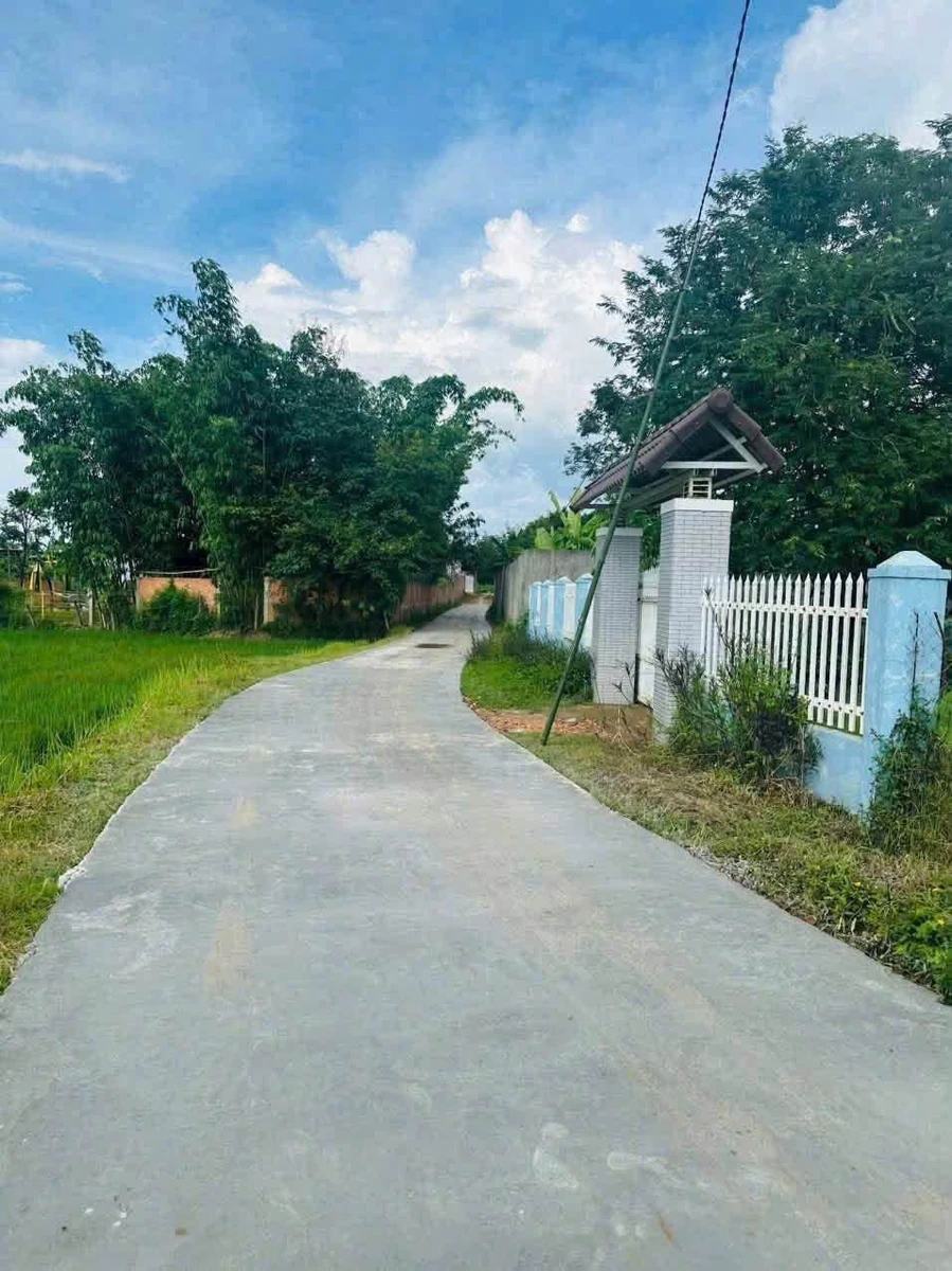 Bán đất view Sáp Hoà Khánh Nhà Bè 140m² giá 299 triệu - Ảnh thu nhỏ 2