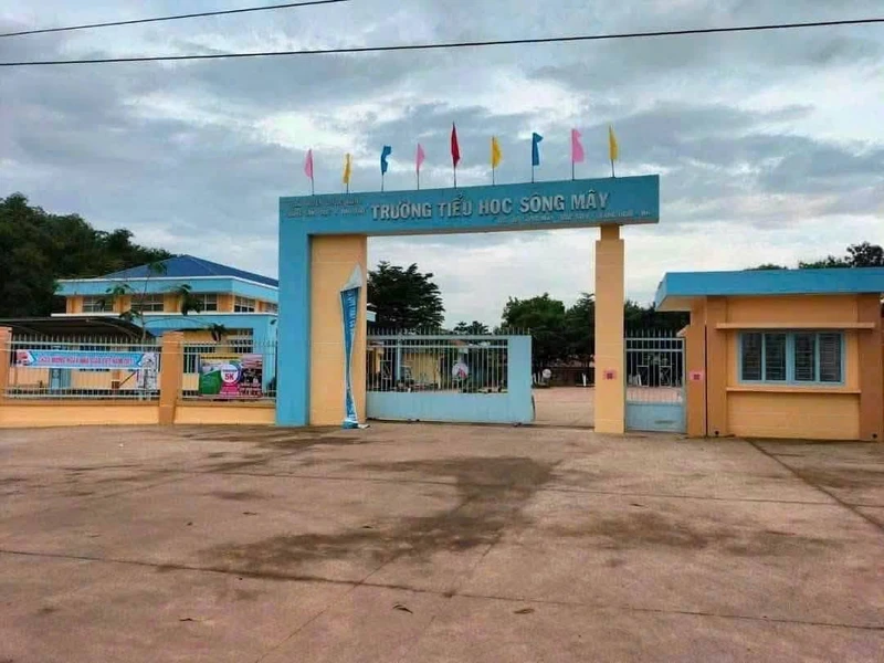 Bán đất Sông Mây Bình Minh Đồng Nai 217m² 900 triệu