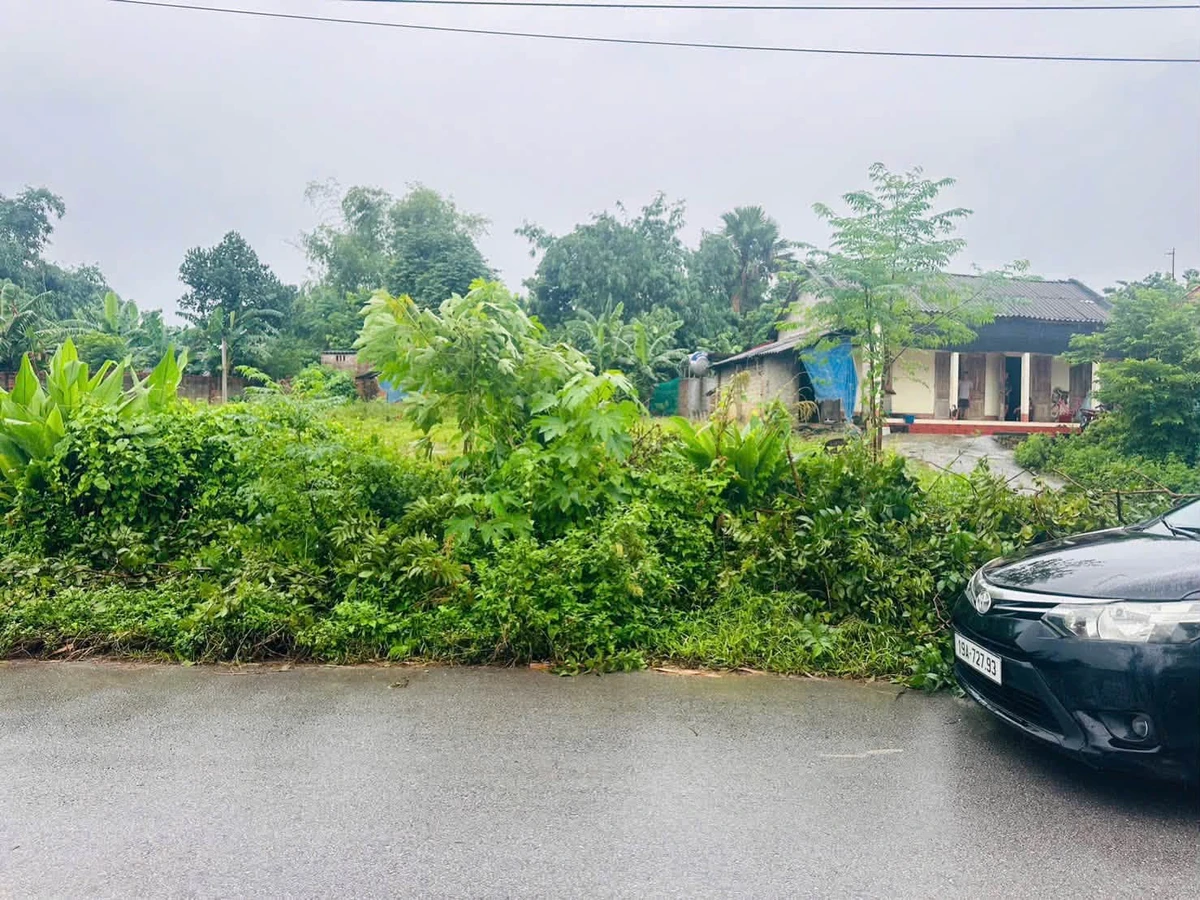 Bán đất 101m² mặt tiền 5m, Tam Nông Phú Thọ, 788 triệu - Ảnh thu nhỏ 4