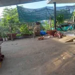 Bán nhà cấp 4 mặt tiền đường Cù Khắc Kiệm, 409m², Phường Khánh Hậu, Tân An, Tây Ninh - Ảnh thu nhỏ 4