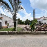 Bán 2 nền đất liền kề 135m² Đức Hòa, Tây Ninh 1.6 tỷ - Ảnh thu nhỏ 5