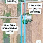 Bán 3 nền đất 626m² Cà Mau 620 triệu - Ảnh thu nhỏ 1