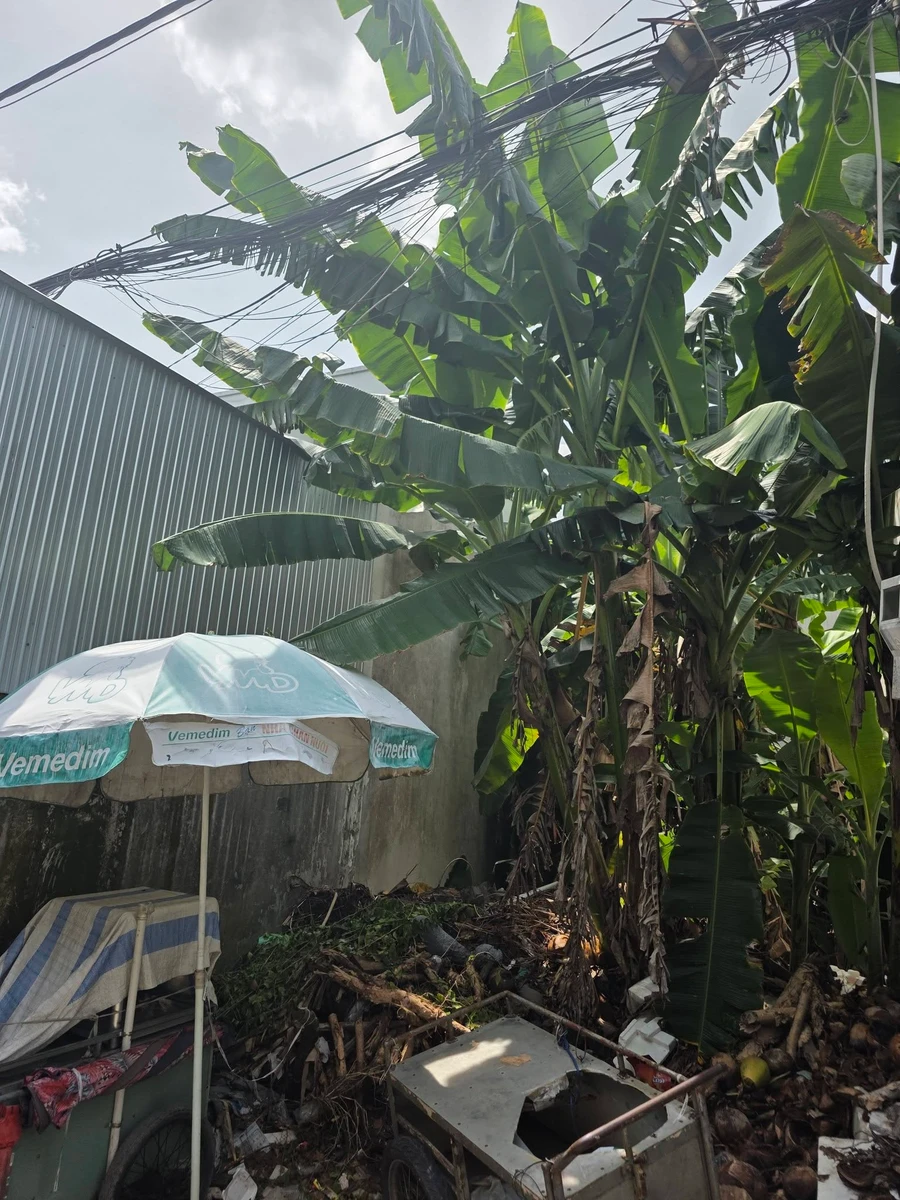 Bán nền đất thổ cư 56m² có GPXD Bình Chánh 1 tỷ 500 - Ảnh thu nhỏ 3