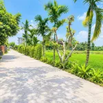 Bán đất 130m² view đồng lúa Điện Bàn Tây Đà Nẵng 5xx triệu - Ảnh thu nhỏ 2