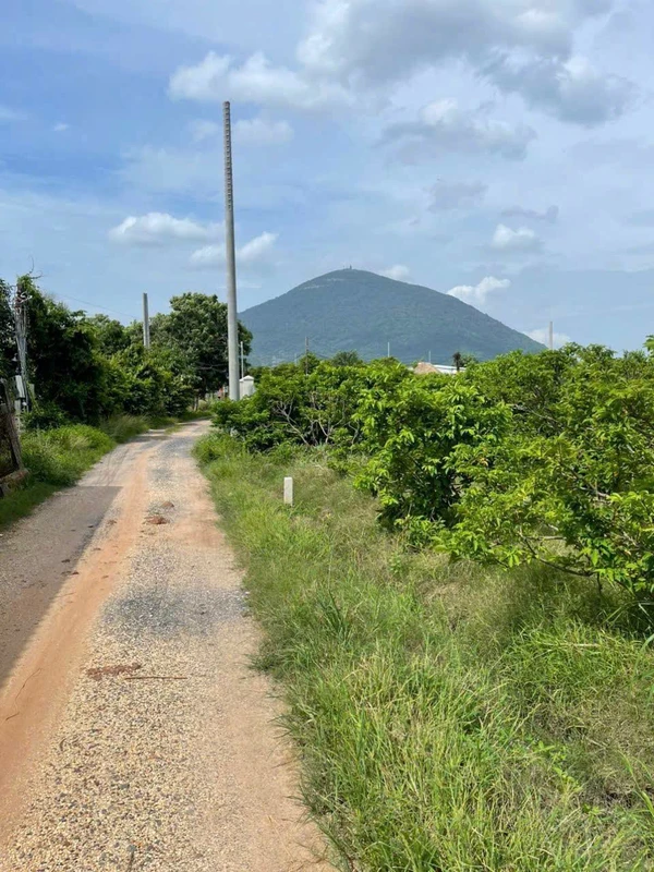 Bán đất Tây Ninh 540m2 ngang 10m giá 499 triệu