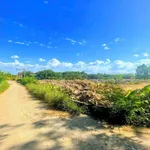 Bán lô đất 7x18m sổ riêng Bình Dương 930 triệu - Ảnh thu nhỏ 3