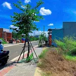Bán 3 lô đất Lekima Đất Đỏ 322,5m² 3 tỷ - Ảnh thu nhỏ 2