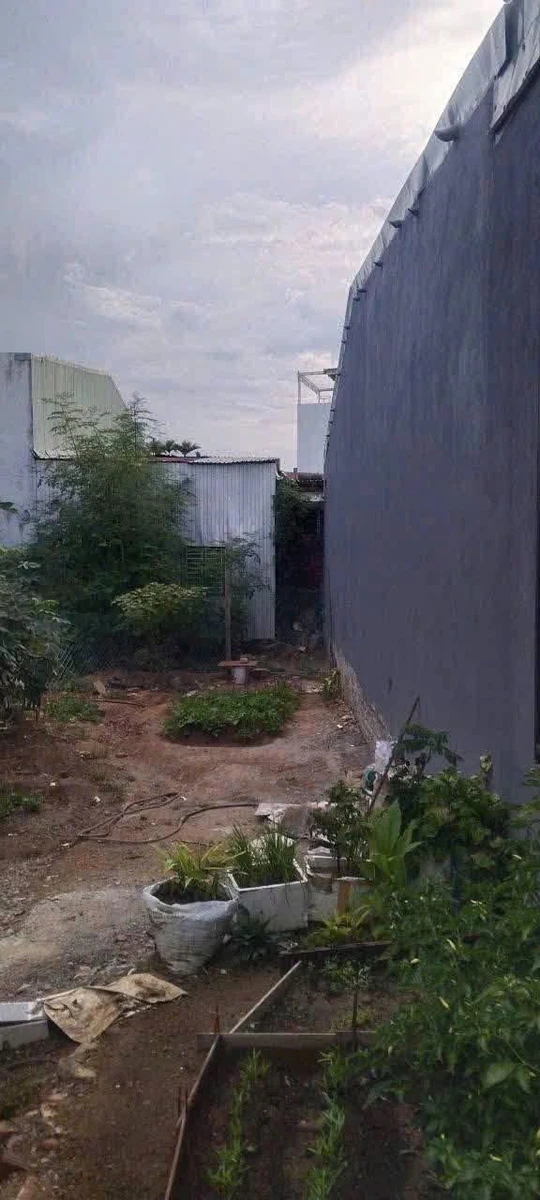 Bán lô đất 100m² Cẩm Lệ, Đà Nẵng 1 tỷ 560 triệu - Ảnh thu nhỏ 2
