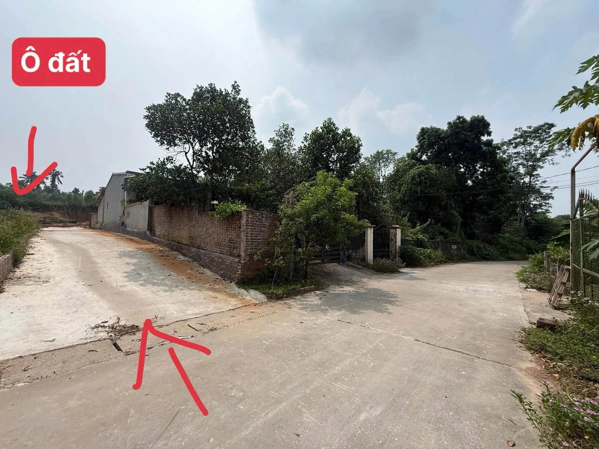 Bán đất 101m2 có 80 thổ cư 360 triệu Tiên Kiên - Ảnh 1