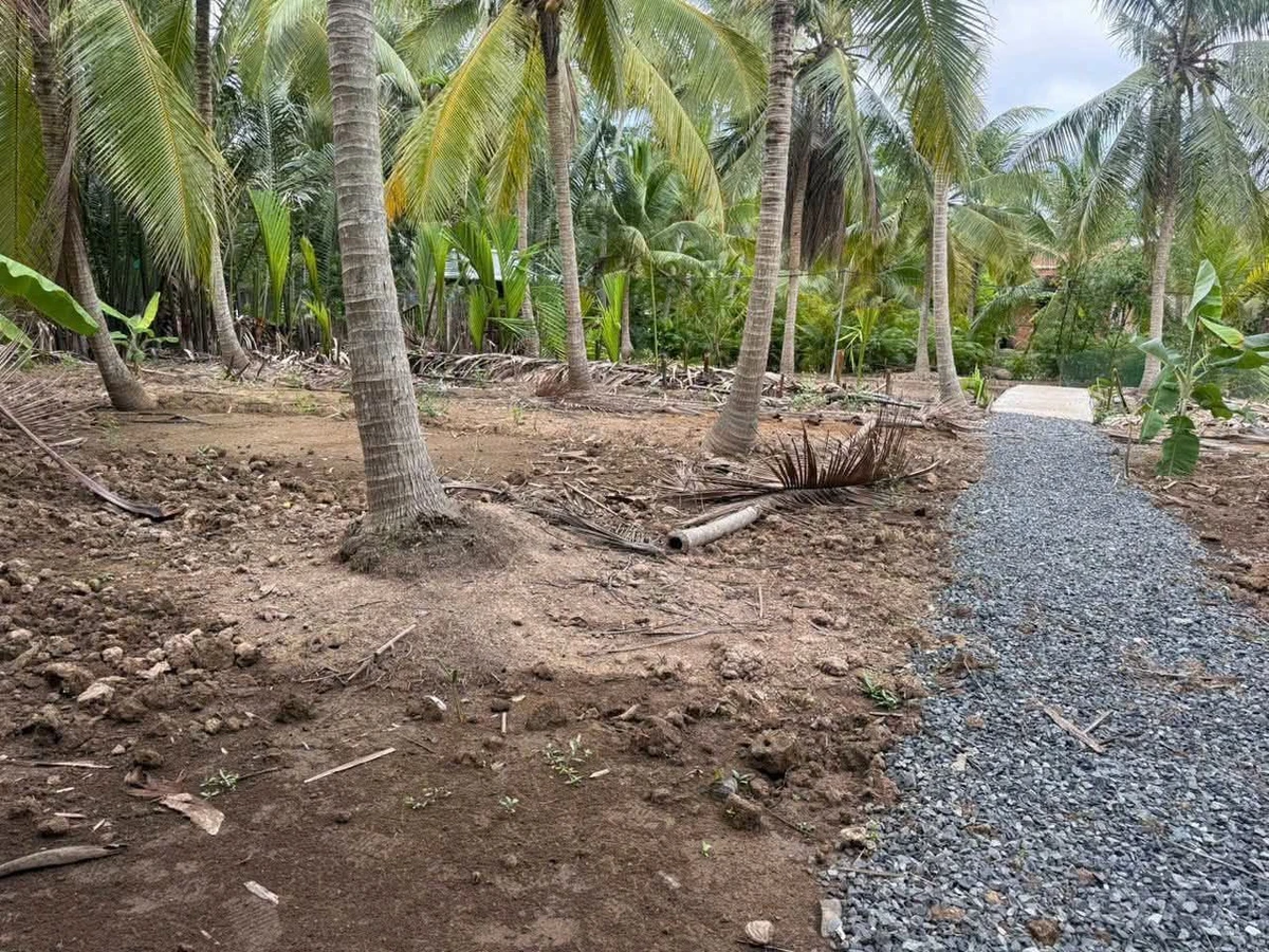 Bán đất 500m² Thành An Nhà Bè 199 triệu - Ảnh 1