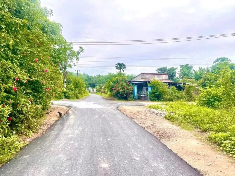 Bán đất thổ cư 60m² Diên Xuân, Diên Khánh - Ảnh thu nhỏ 3