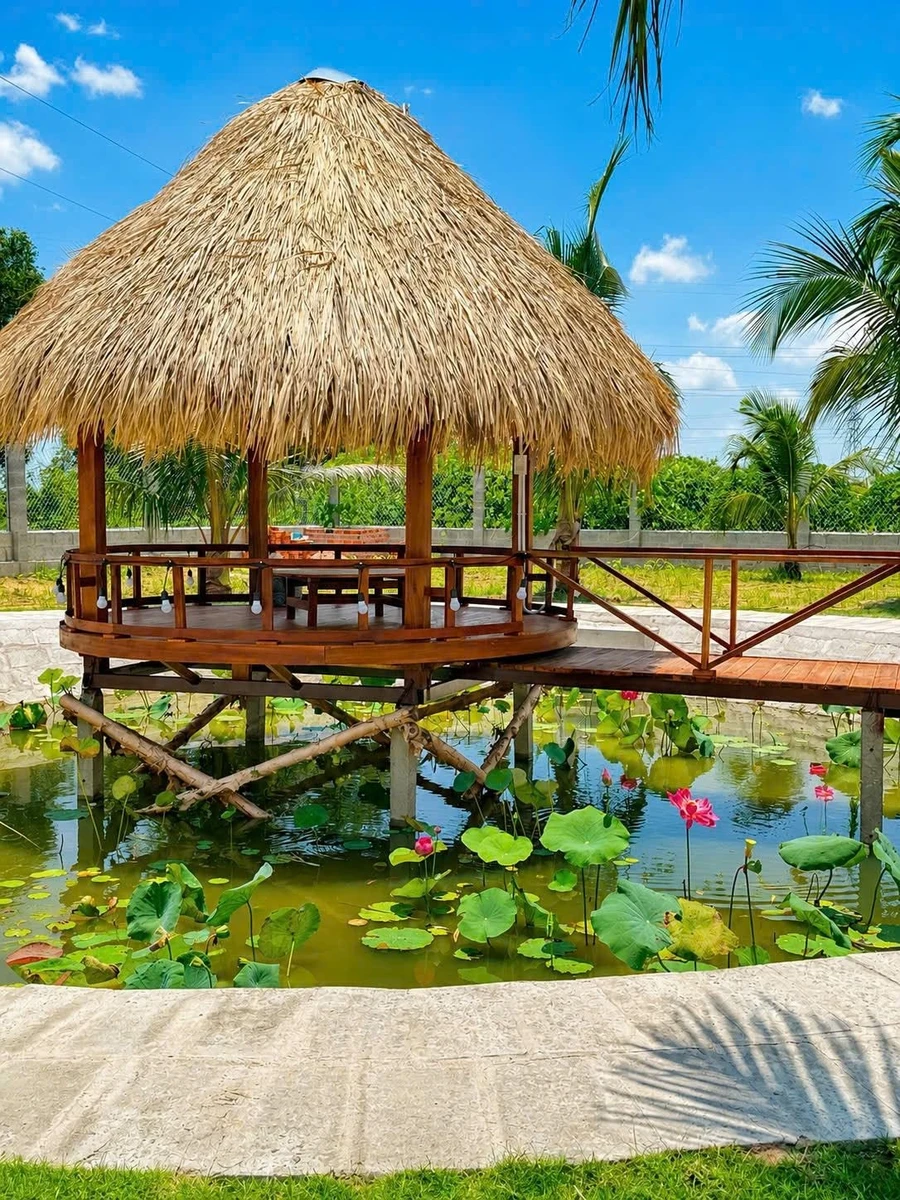 Bán nhà vườn 1.600m² Hàm Chính, Bình Thuận, gần Phan Thiết - Ảnh 1