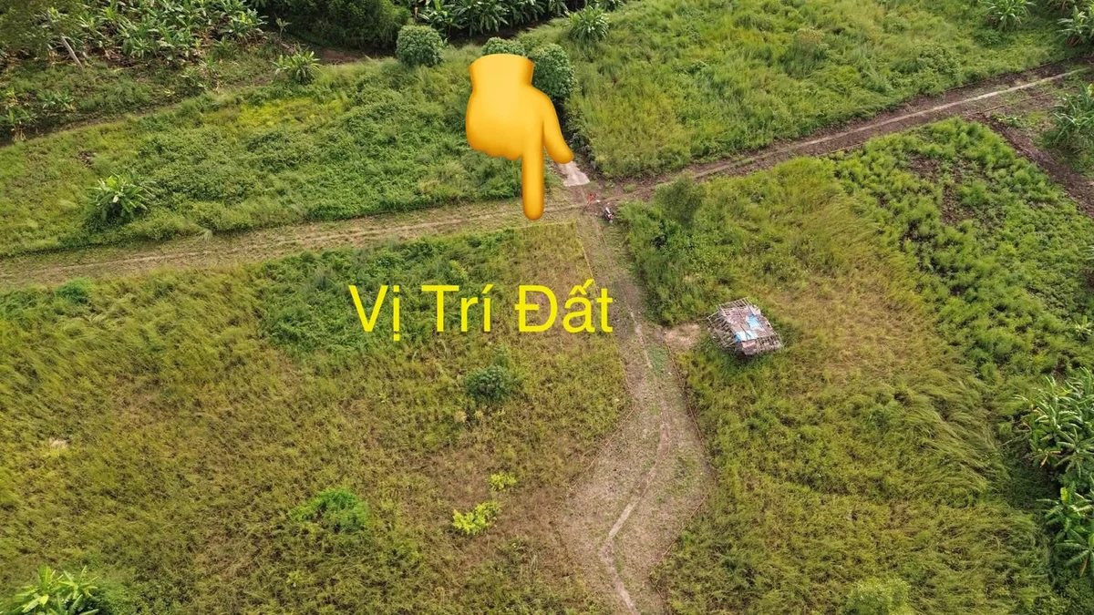 Bán đất 1.000m² mặt tiền Gia Kiệm, Đồng Nai 200 triệu - Ảnh thu nhỏ 4