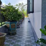 Bán nhà vườn mái Thái 2PN 221m² tại Bên Cát 2,23 tỷ - Ảnh thu nhỏ 3