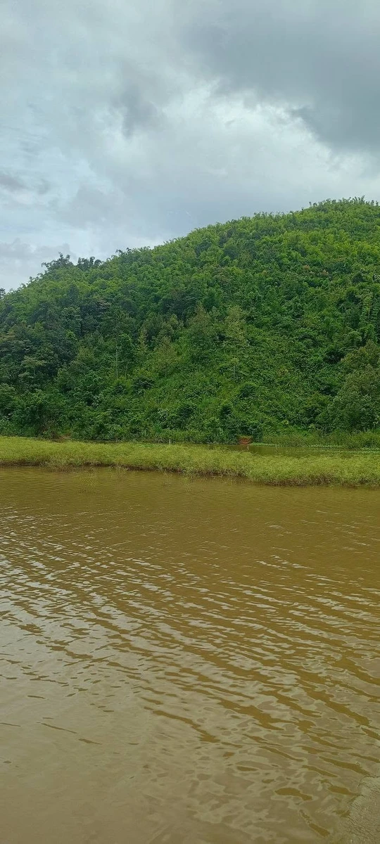 Bán lô đất rẫy view hồ 7 ha, Lâm Đồng - Ảnh thu nhỏ 4