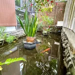 Bán biệt thự 195m2 4 phòng ngủ Tây Quảng Ngãi 4 tỷ - Ảnh thu nhỏ 5