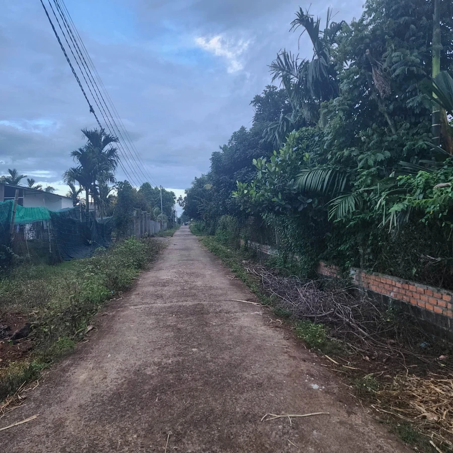 Bán đất 400m² Cao Thắng Ea Kao, giá 1 tỷ 3 - Ảnh thu nhỏ 3