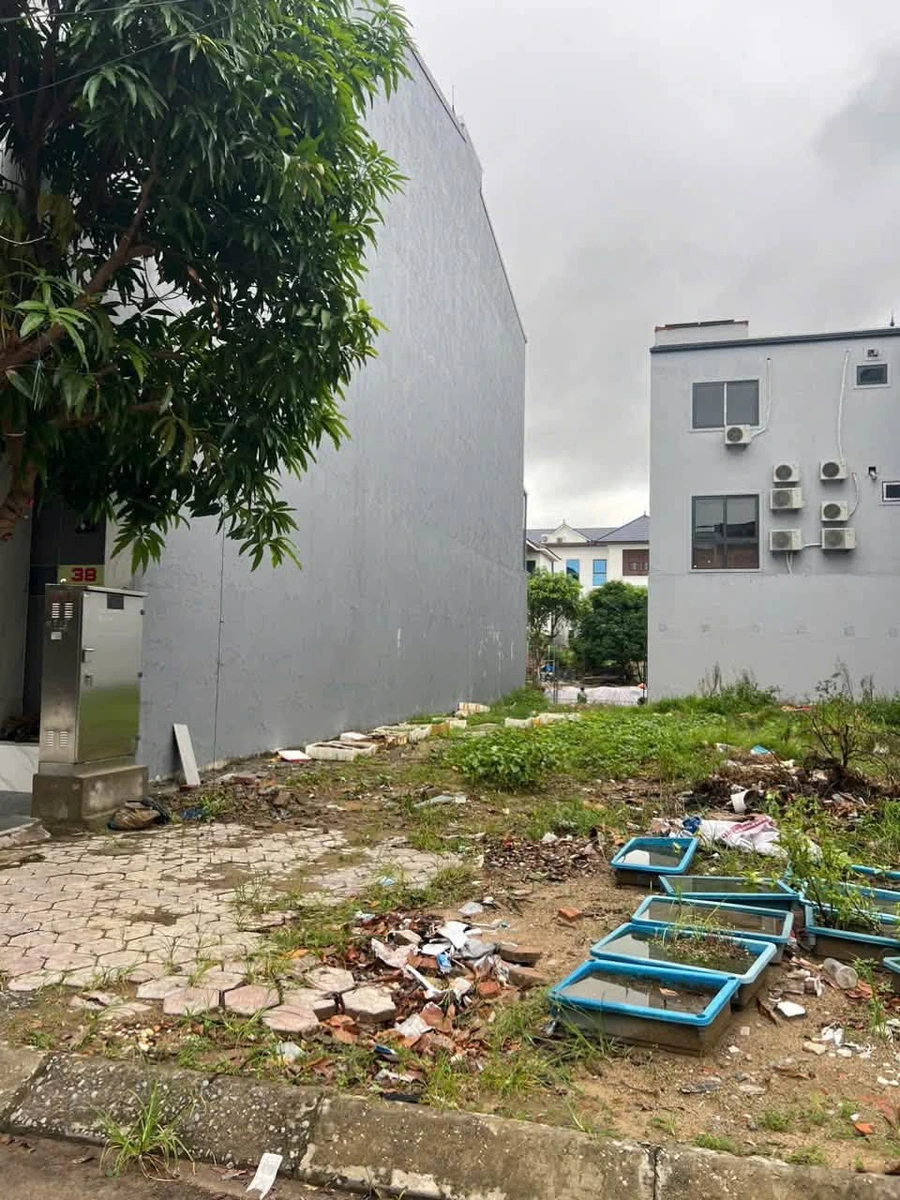 Bán đất KĐT Nam Lê Lợi 110 m² – 55 triệu/m² - Ảnh thu nhỏ 2