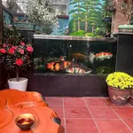Bán nhà 3 tầng 101m² Điện Biên Phủ Hải Dương 4,65 tỷ - Ảnh thu nhỏ 3