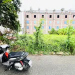Bán đất 100m² mặt tiền 5m Anh Dũng 5, Hải Phòng - Ảnh thu nhỏ 3