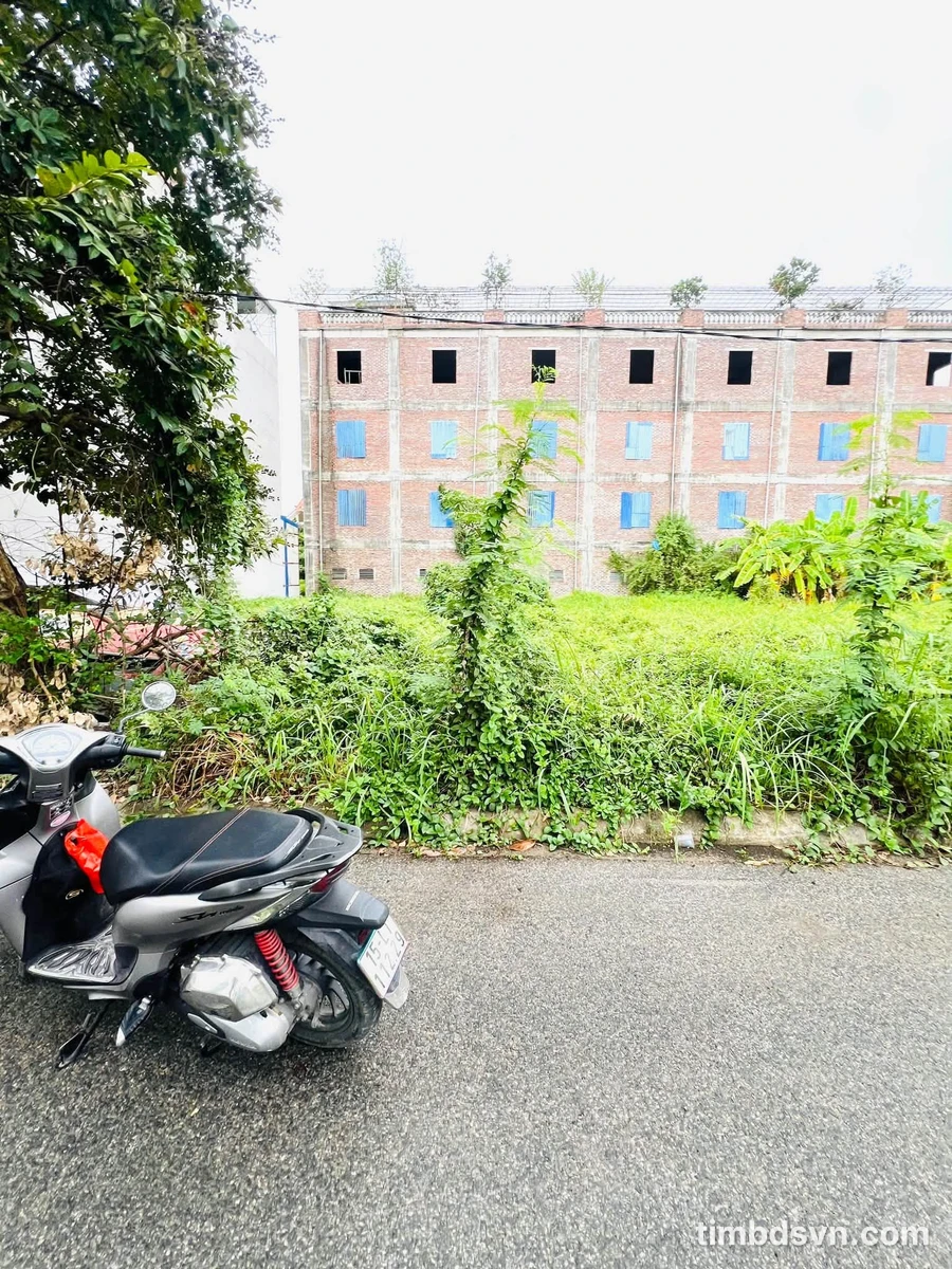 Bán đất 100m² mặt tiền 5m Anh Dũng 5, Hải Phòng - Ảnh thu nhỏ 3