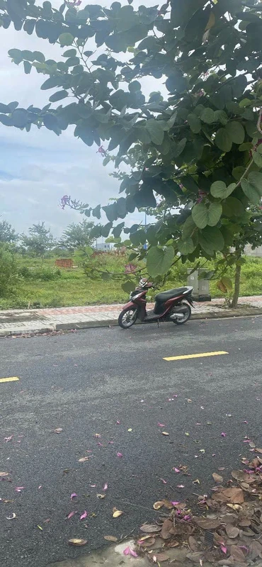 Bán đất tái định cư Hòa Long 90m² Bà Rịa 2,1 tỷ