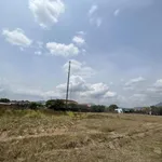 Bán 1,4ha đất 4 mặt tiền Bắc Nha Trang, tặng ngay xe Mercerder GLC 200 khi khách chốt mua tháng 10 - Ảnh thu nhỏ 18