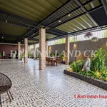 Cho thuê mặt bằng kinh doanh 250m² mặt tiền đường 3 Tháng 2, Rạch Giá - Ảnh thu nhỏ 3