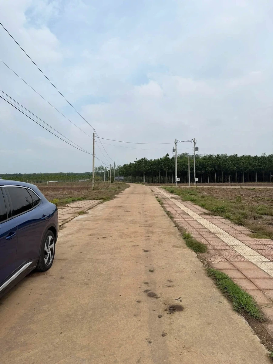 Bán đất liền kề 100m2 đường Minh Lập 350 triệu - Ảnh thu nhỏ 4