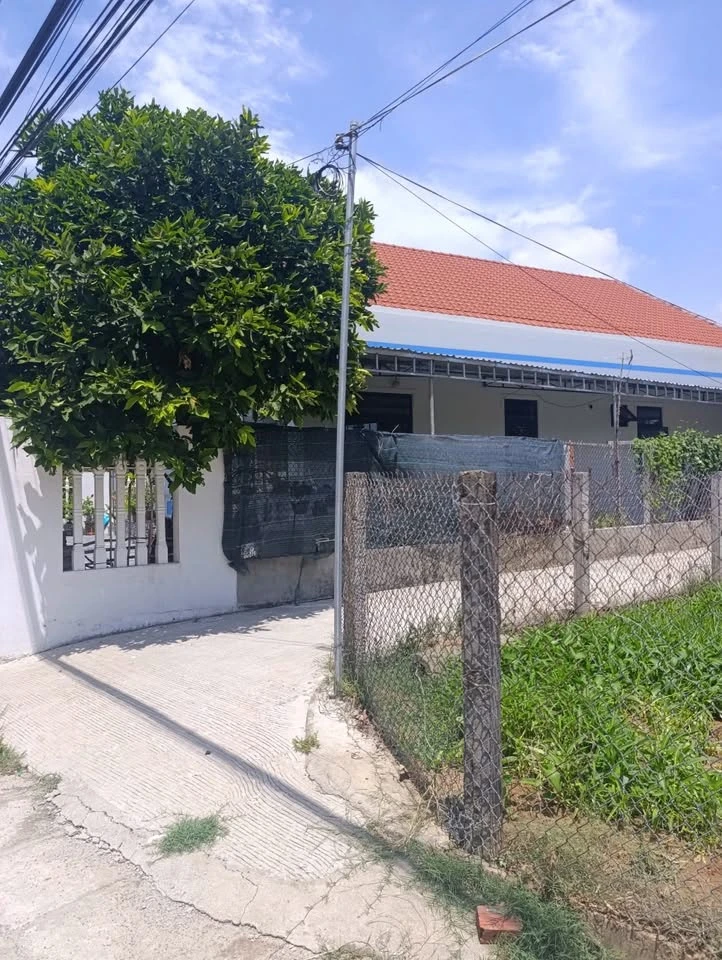 Bán lô đôi đất Nghĩa Dõng 248.5m² giá 1 tỷ 380 - Ảnh thu nhỏ 4