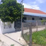 Bán lô đôi đất Nghĩa Dõng 248.5m² giá 1 tỷ 380 - Ảnh thu nhỏ 4