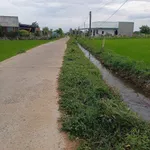 Bán 446m² đất quy hoạch thổ cư Bình Thuận 260 triệu - Ảnh thu nhỏ 3