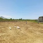 Bán lô đất Hàm Chính 518m2, Lâm Đồng - Ảnh thu nhỏ 4