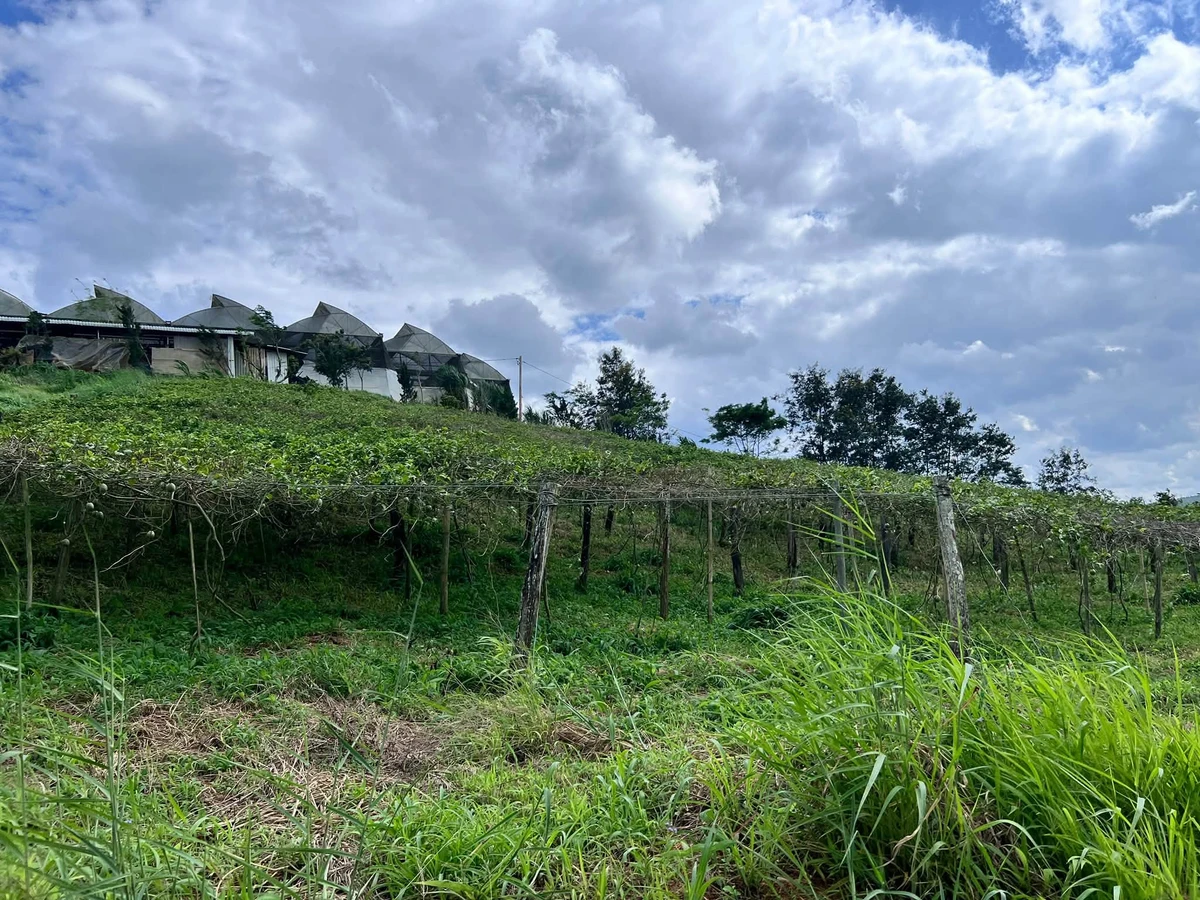 Bán đất view 2 mặt hồ Thủy điện Đại Ninh, Lâm Đồng 5.846 m² - Ảnh thu nhỏ 4