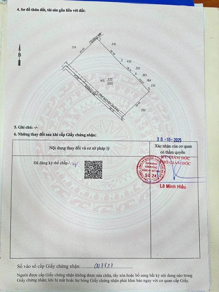 Bán đất nông nghiệp 3.205m² tại Tân Đông Hiệp, Bình Chánh - Ảnh thu nhỏ 2