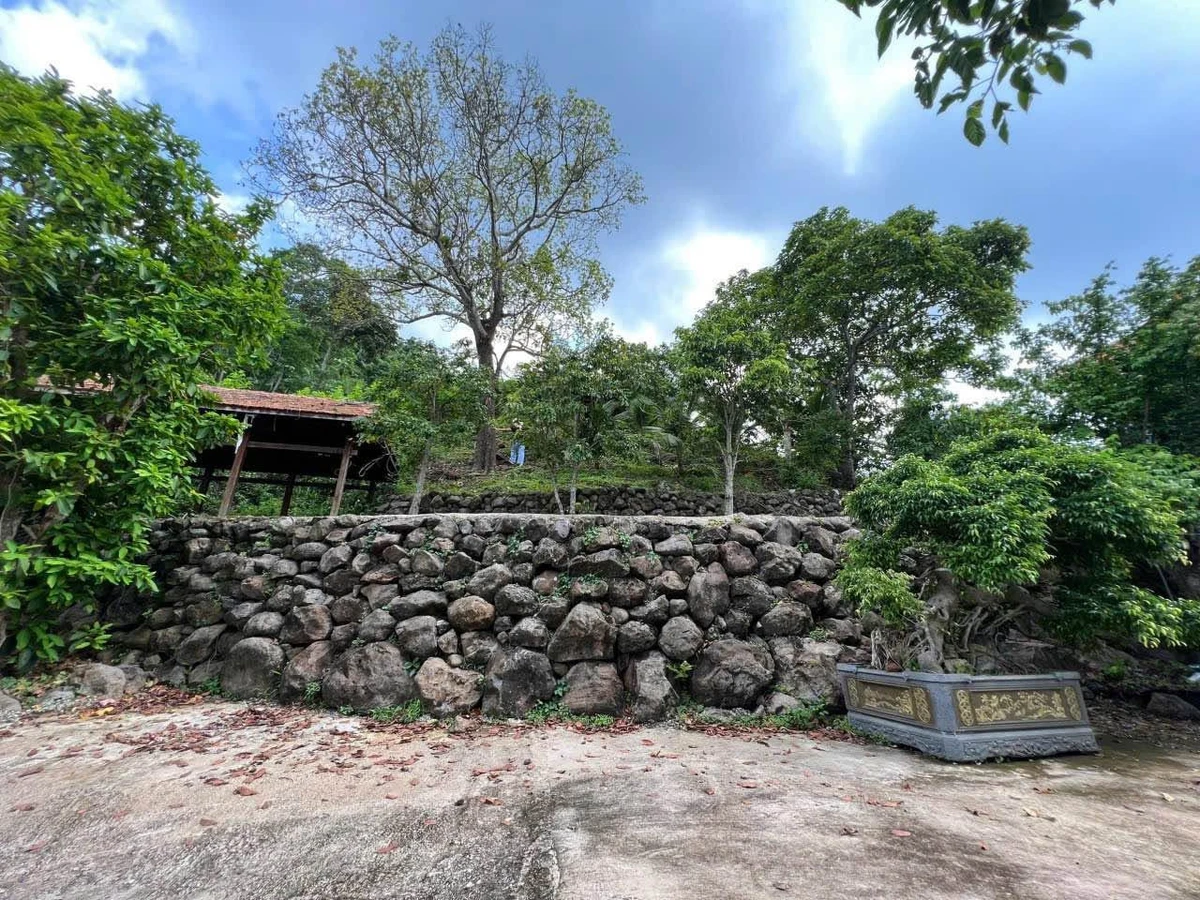 Bán đất view nghỉ dưỡng 2439m² Xã Cẩm Mỹ Đồng Nai - Ảnh thu nhỏ 5
