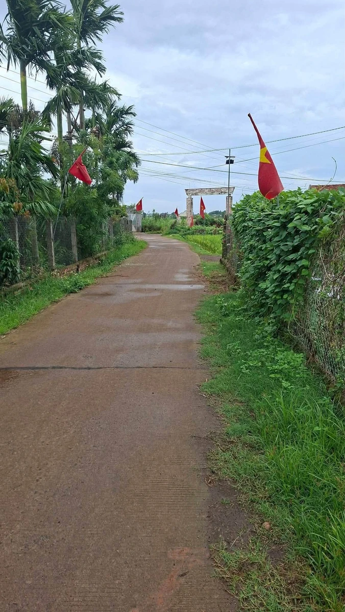 Bán đất Thôn 13 Eakly 300m² 360 triệu - Ảnh thu nhỏ 2