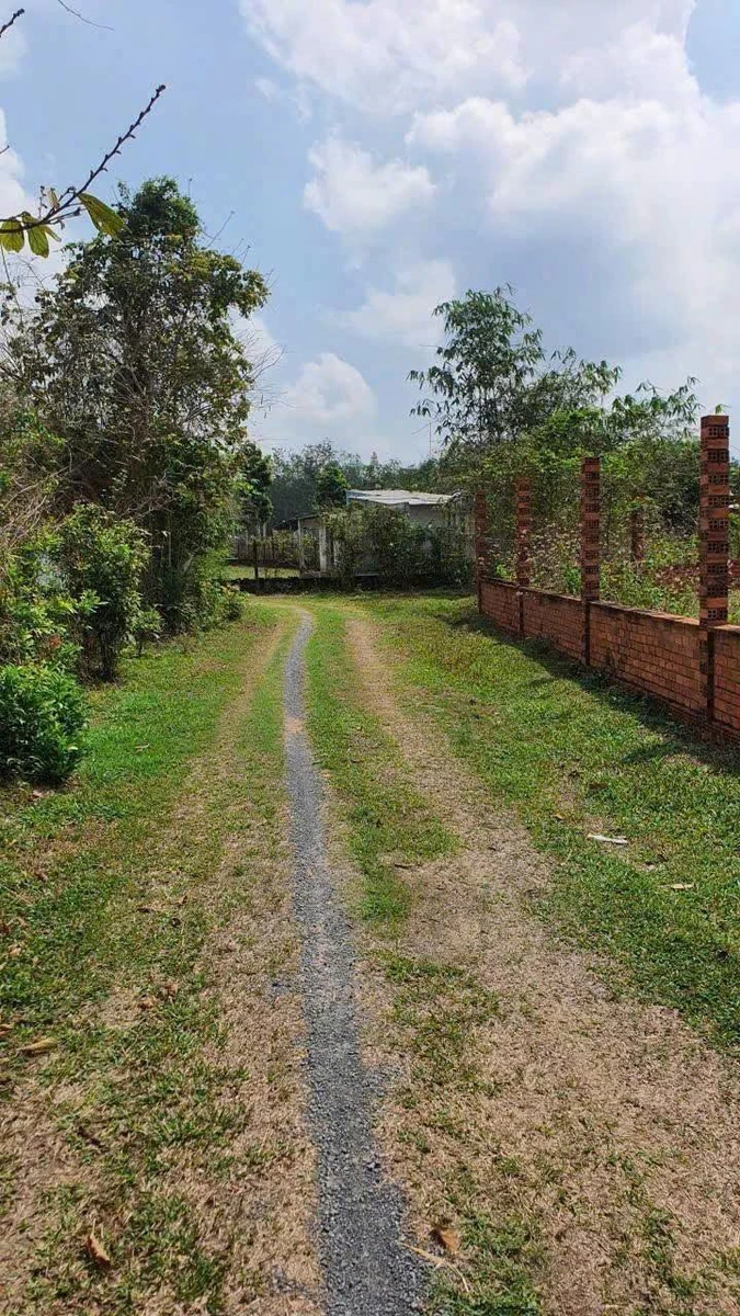 Bán đất Củ Chi 4000m² gần Tỉnh Lộ 7 - 4 tỷ 1 - Ảnh 1