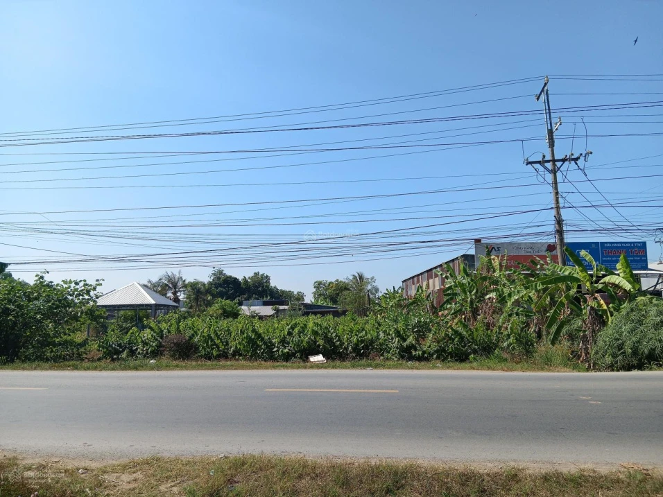 Bán Đất 1053,5 m2 tại Đường Quốc lộ 54, Xã Tân Thành, Huyện Lai Vung, 4,2 tỷ - Ảnh thu nhỏ 4