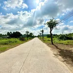 Bán 2 nền thổ cư 500m2 mặt tiền Nguyễn Thị Bài, Phước Vĩnh Tây, Cần Giuộc cũ - Ảnh thu nhỏ 5