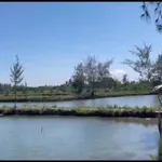 Bán 1000m2 đất nuôi trồng thủy sản kèm hồ và chòi tại Bình Châu giá 199 triệu - Ảnh thu nhỏ 2