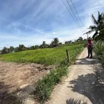 Bán đất vườn 544m2 tại Khánh Hậu, Tây Ninh - 680 triệu - Ảnh thu nhỏ 3